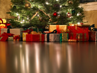 Christmas Presents Under the Christmas Tree