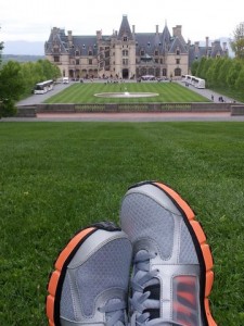 The Biltmore from the hill out front