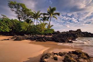 Trip to Hawaii Beach